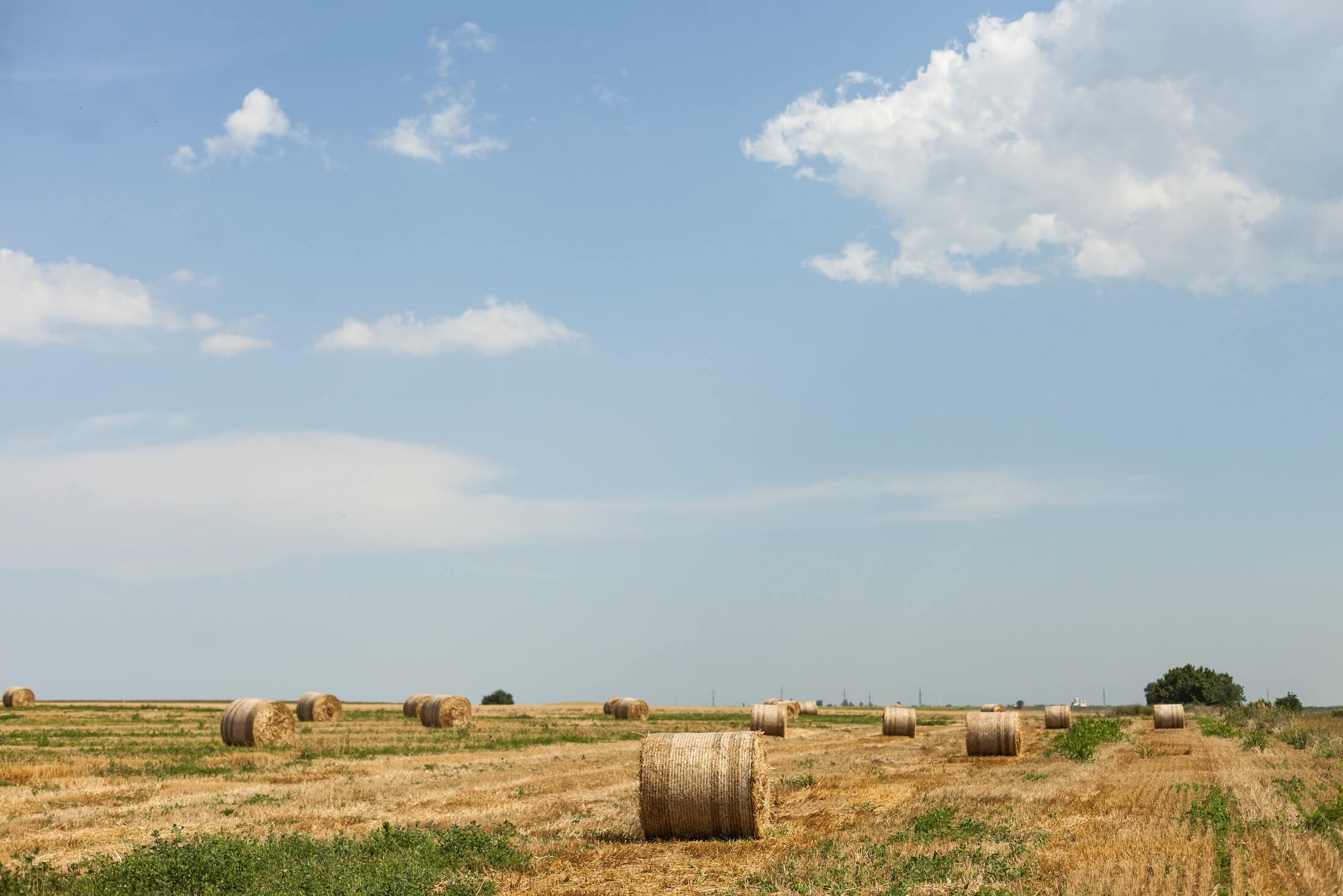 selling-land-in-missouri-mo-property-buyers-buy-yo-dirt